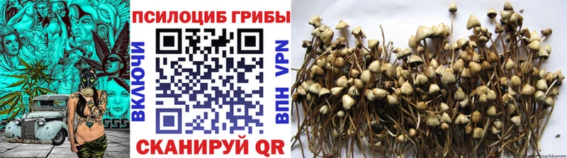 как найти наркотики  Спасск-Рязанский  Галлюциногенные грибы Magic Shrooms 